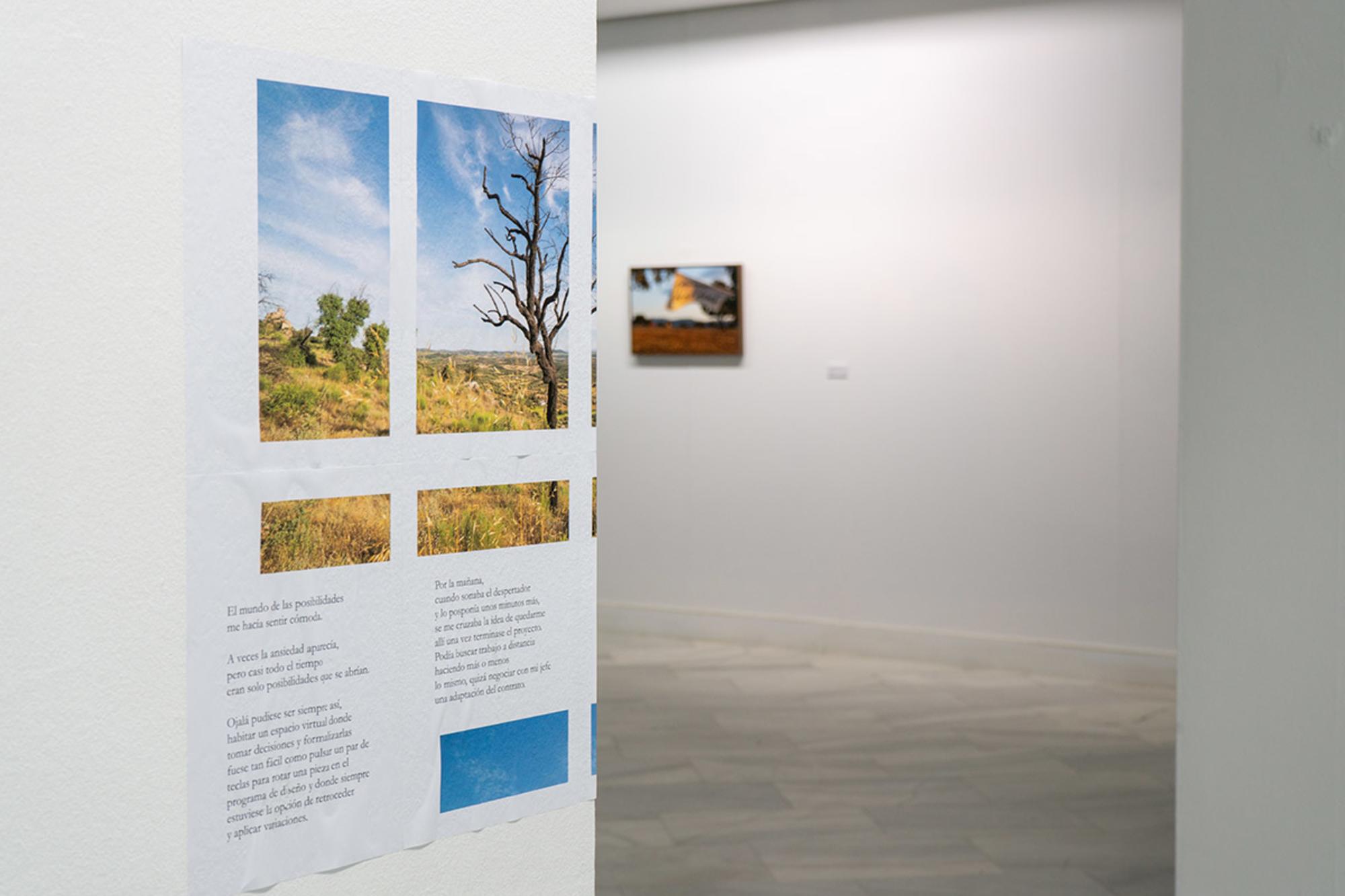 Entrevista Pachón 2